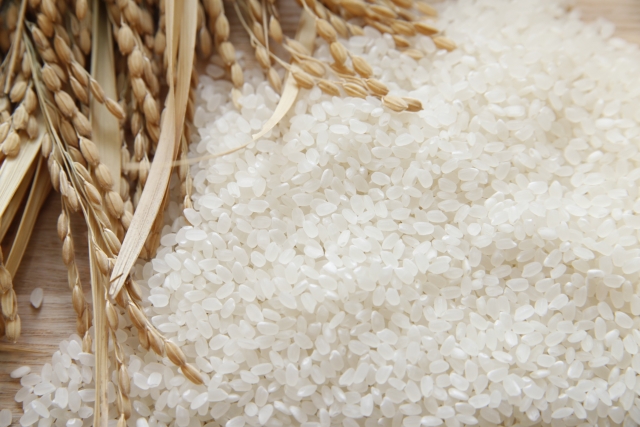 業務用米含めたお米の価格相場の傾向